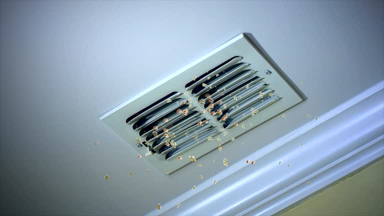 Best Residential Air Duct Cleaning  in Cascade, IA