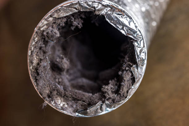 Best HVAC Duct Inspection Services  in Cascade, IA