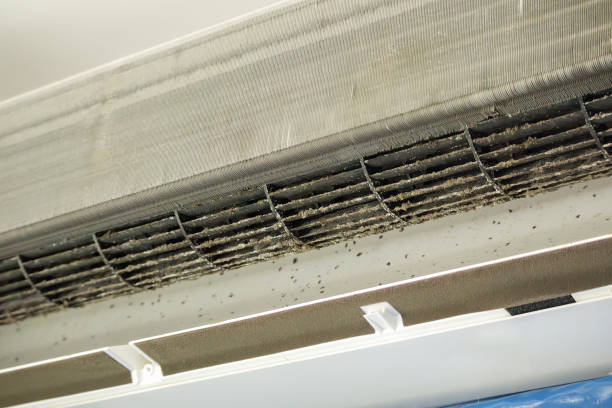 Best Best Air Duct Cleaning Company  in Cascade, IA